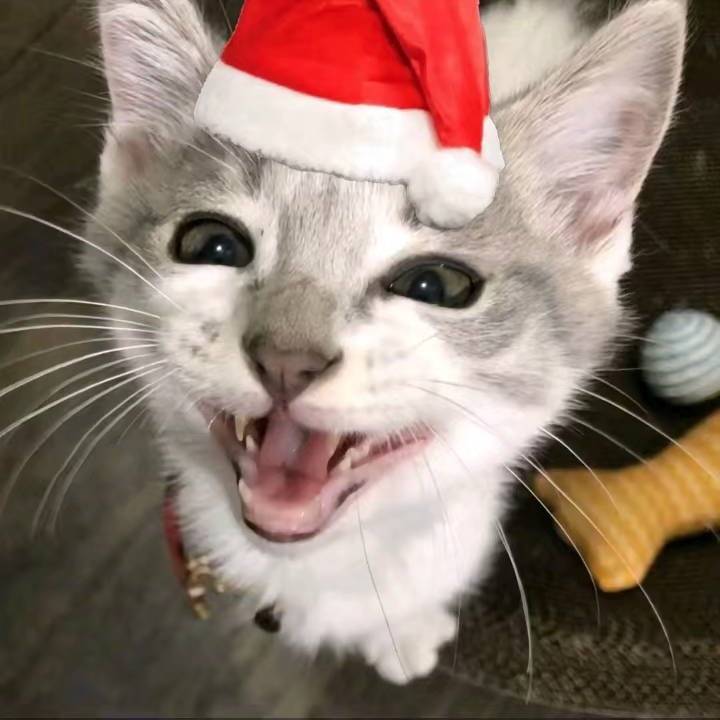 梦泽的头像-松纸工作室博客